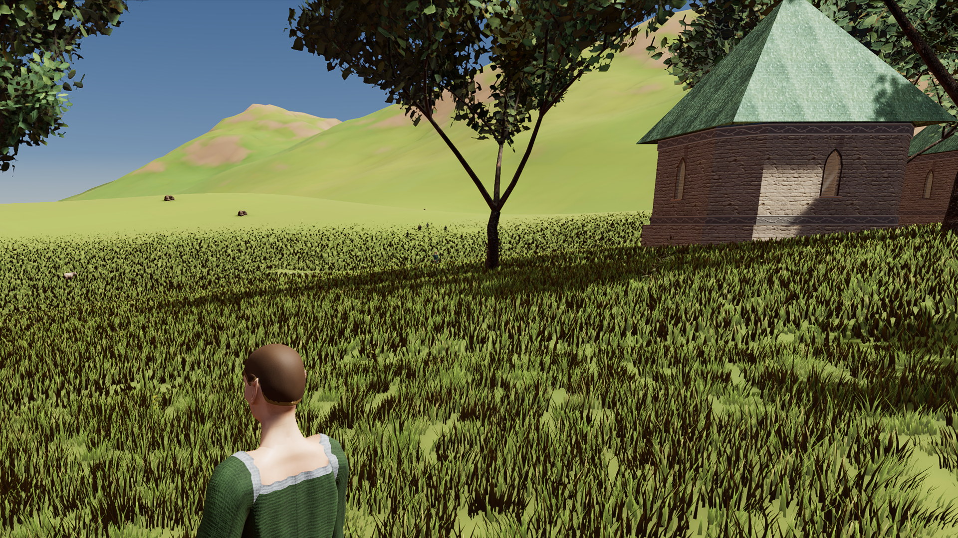 A person in a green dress looks across a grass field toward hills and a stone cottage.